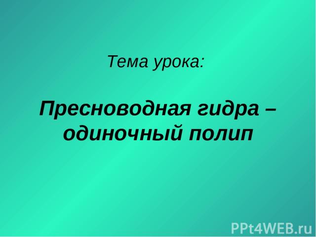 Как попасть на blacksprut